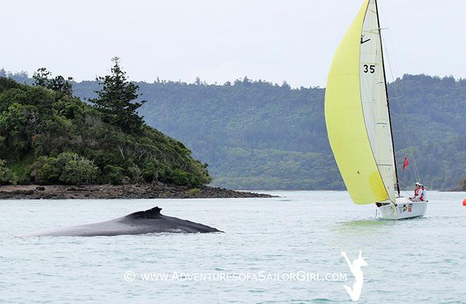 2016 Audi Hamilton Island Race Week - Day 2 © Nic Douglass / www.AdventuresofaSailorGirl.com